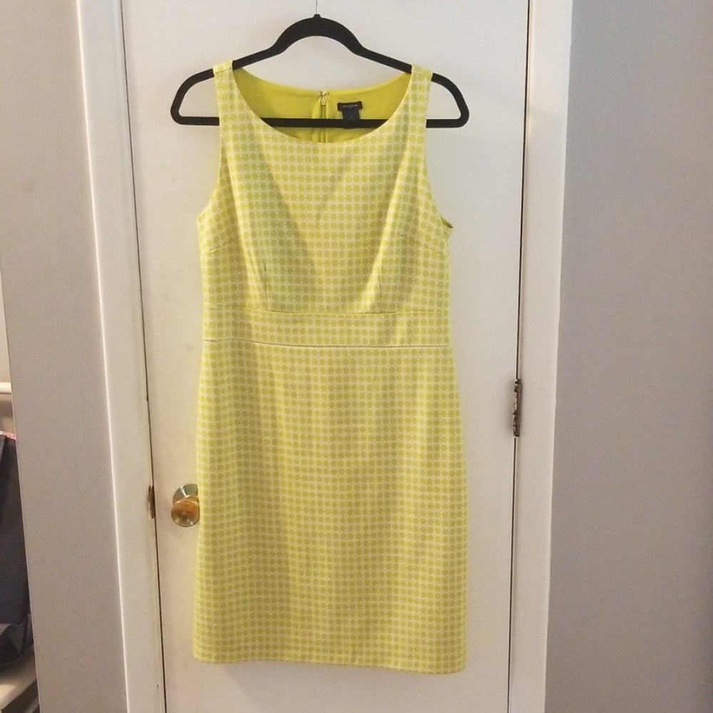 Ann Taylor Fun Profesh Dress